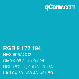 Color code: RGB 9 172 194 | qconv.com