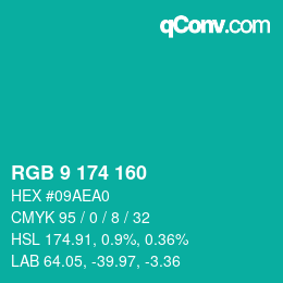 カラーコード: RGB 9 174 160 | qconv.com