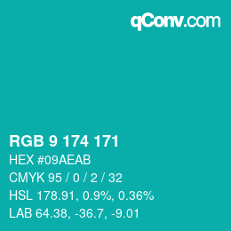 Color code: RGB 9 174 171 | qconv.com