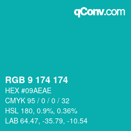 Color code: RGB 9 174 174 | qconv.com
