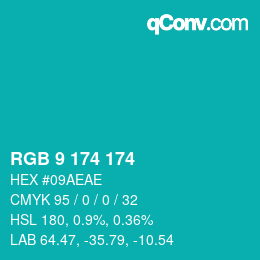 Color code: RGB 9 174 174 | qconv.com