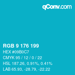 Color code: RGB 9 176 199 | qconv.com