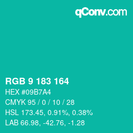 Color code: RGB 9 183 164 | qconv.com