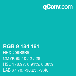 カラーコード: RGB 9 184 181 | qconv.com