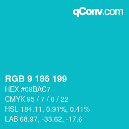 カラーコード: RGB 9 186 199 | qconv.com