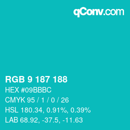 Color code: RGB 9 187 188 | qconv.com