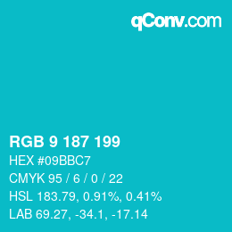 Color code: RGB 9 187 199 | qconv.com