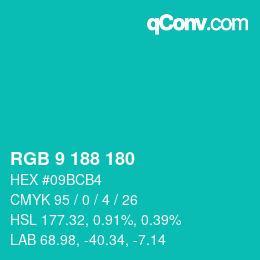 Color code: RGB 9 188 180 | qconv.com
