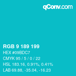 Color code: RGB 9 189 199 | qconv.com
