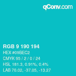Color code: RGB 9 190 194 | qconv.com
