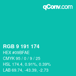 Color code: RGB 9 191 174 | qconv.com