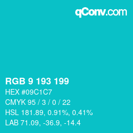 カラーコード: RGB 9 193 199 | qconv.com