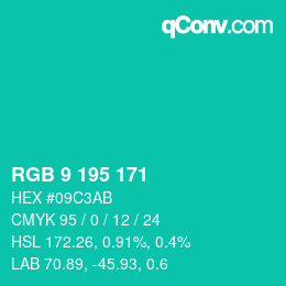 Farbcode: RGB 9 195 171 | qconv.com
