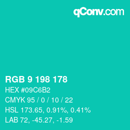 Color code: RGB 9 198 178 | qconv.com