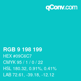 Color code: RGB 9 198 199 | qconv.com