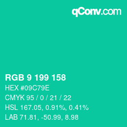 Color code: RGB 9 199 158 | qconv.com