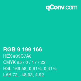 Color code: RGB 9 199 166 | qconv.com