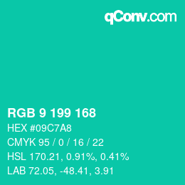 Color code: RGB 9 199 168 | qconv.com