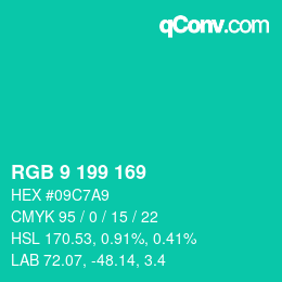 Color code: RGB 9 199 169 | qconv.com