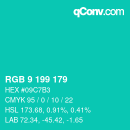 Color code: RGB 9 199 179 | qconv.com