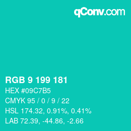 Color code: RGB 9 199 181 | qconv.com