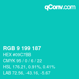 Color code: RGB 9 199 187 | qconv.com