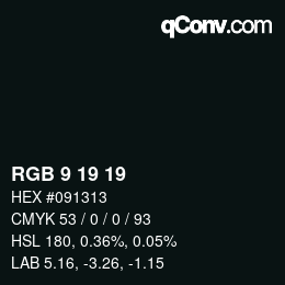 Color code: RGB 9 19 19 | qconv.com