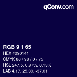 Color code: RGB 9 1 65 | qconv.com