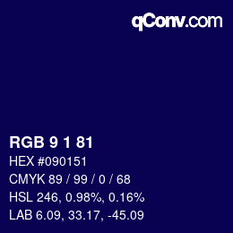 颜色代码: RGB 9 1 81 | qconv.com
