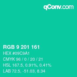 Color code: RGB 9 201 161 | qconv.com