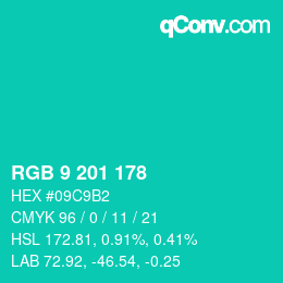 Color code: RGB 9 201 178 | qconv.com