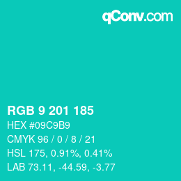 Color code: RGB 9 201 185 | qconv.com