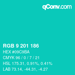 Color code: RGB 9 201 186 | qconv.com
