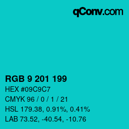 Color code: RGB 9 201 199 | qconv.com