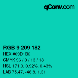Color code: RGB 9 209 182 | qconv.com