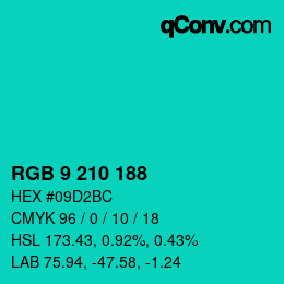Color code: RGB 9 210 188 | qconv.com