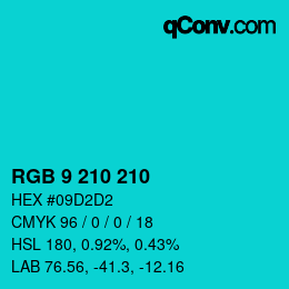 Farbcode: RGB 9 210 210 | qconv.com