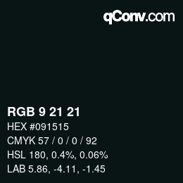 Color code: RGB 9 21 21 | qconv.com