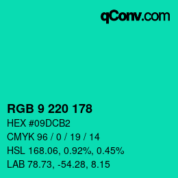 Color code: RGB 9 220 178 | qconv.com