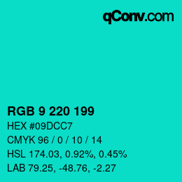 Color code: RGB 9 220 199 | qconv.com