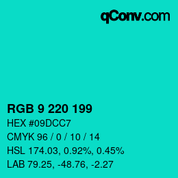 Código de color: RGB 9 220 199 | qconv.com