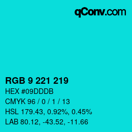Color code: RGB 9 221 219 | qconv.com
