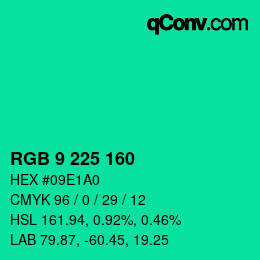 カラーコード: RGB 9 225 160 | qconv.com