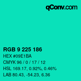 Color code: RGB 9 225 186 | qconv.com