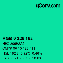 カラーコード: RGB 9 226 162 | qconv.com