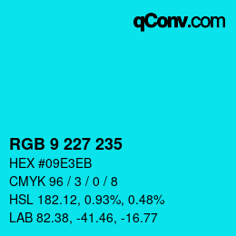 Color code: RGB 9 227 235 | qconv.com
