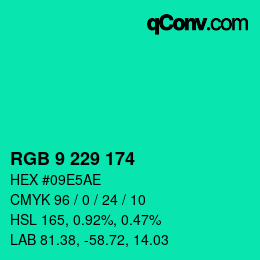 Color code: RGB 9 229 174 | qconv.com