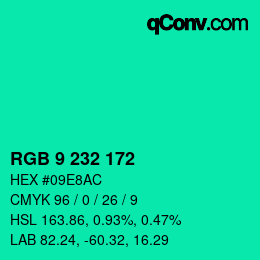 Color code: RGB 9 232 172 | qconv.com