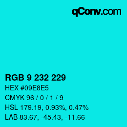 Color code: RGB 9 232 229 | qconv.com