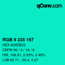 Color code: RGB 9 235 197 | qconv.com